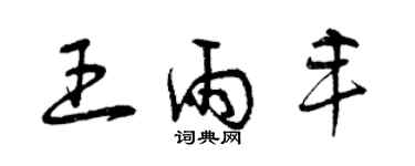 曾庆福王雨丰草书个性签名怎么写