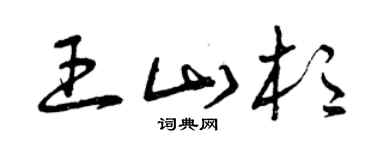 曾庆福王山杉草书个性签名怎么写