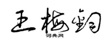 曾庆福王梅钧草书个性签名怎么写