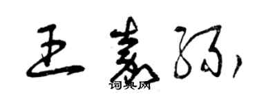 曾庆福王嘉缘草书个性签名怎么写