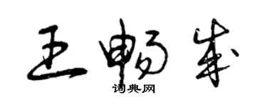 曾庆福王畅成草书个性签名怎么写