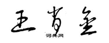 曾庆福王肖金草书个性签名怎么写