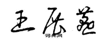 曾庆福王展燕草书个性签名怎么写