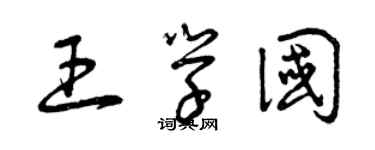 曾庆福王学国草书个性签名怎么写