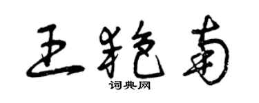 曾庆福王艳南草书个性签名怎么写