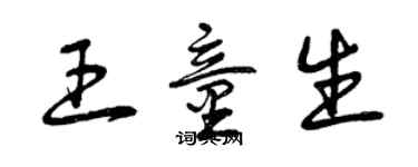 曾庆福王童生草书个性签名怎么写