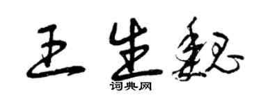 曾庆福王生魏草书个性签名怎么写