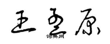曾庆福王孟原草书个性签名怎么写