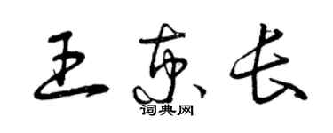 曾庆福王京长草书个性签名怎么写