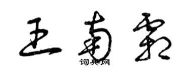曾庆福王南霜草书个性签名怎么写
