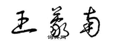 曾庆福王蒙南草书个性签名怎么写