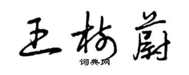 曾庆福王树蔚草书个性签名怎么写