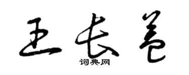 曾庆福王长益草书个性签名怎么写