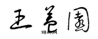 曾庆福王益园草书个性签名怎么写
