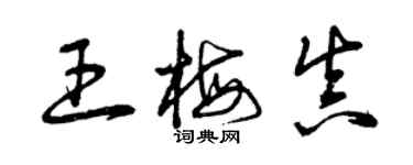 曾庆福王梅真草书个性签名怎么写
