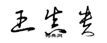 曾庆福王真贵草书个性签名怎么写