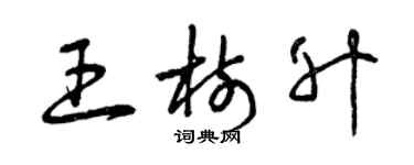 曾庆福王树升草书个性签名怎么写