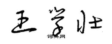 曾庆福王学壮草书个性签名怎么写