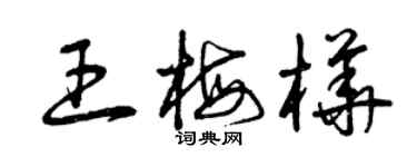 曾庆福王梅桦草书个性签名怎么写