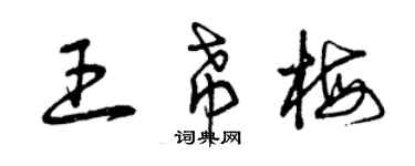 曾庆福王希梅草书个性签名怎么写
