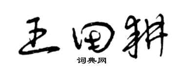 曾庆福王田耕草书个性签名怎么写