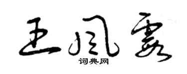 曾庆福王风霞草书个性签名怎么写