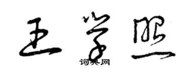 曾庆福王学照草书个性签名怎么写