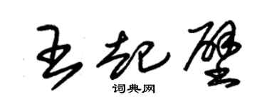 朱锡荣王起壁草书个性签名怎么写