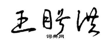 曾庆福王盼洪草书个性签名怎么写
