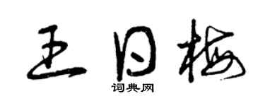 曾庆福王日梅草书个性签名怎么写