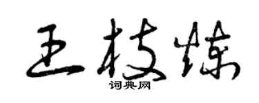 曾庆福王枝炼草书个性签名怎么写