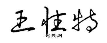 曾庆福王性特草书个性签名怎么写
