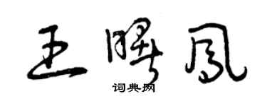 曾庆福王曙凤草书个性签名怎么写