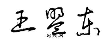 曾庆福王盟东草书个性签名怎么写