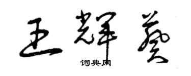 曾庆福王辉葵草书个性签名怎么写