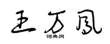 曾庆福王万凤草书个性签名怎么写