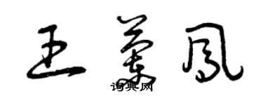 曾庆福王兰凤草书个性签名怎么写