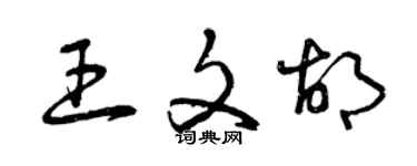 曾庆福王文胡草书个性签名怎么写