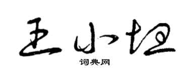曾庆福王小坦草书个性签名怎么写