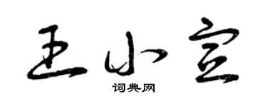 曾庆福王小宣草书个性签名怎么写