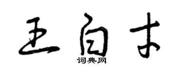 曾庆福王白才草书个性签名怎么写