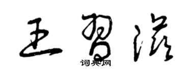 曾庆福王习滋草书个性签名怎么写