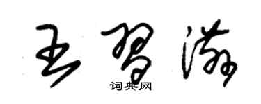 朱锡荣王习滋草书个性签名怎么写