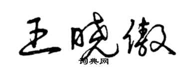 曾庆福王晓傲草书个性签名怎么写