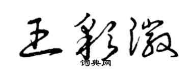 曾庆福王彩徽草书个性签名怎么写