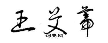 曾庆福王艾蒂草书个性签名怎么写