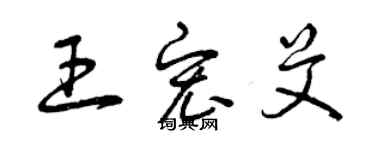 曾庆福王宏艾草书个性签名怎么写