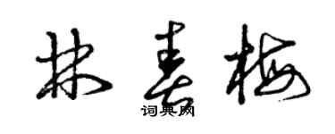 曾庆福林春梅草书个性签名怎么写