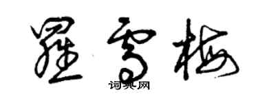 曾庆福罗雪梅草书个性签名怎么写