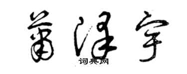曾庆福萧泽宇草书个性签名怎么写